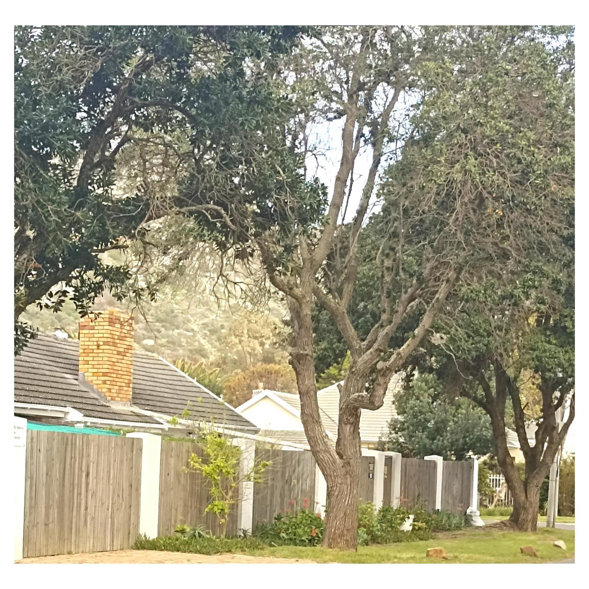 The Retreat Bed & Breakfast Kommetjie Bagian luar foto